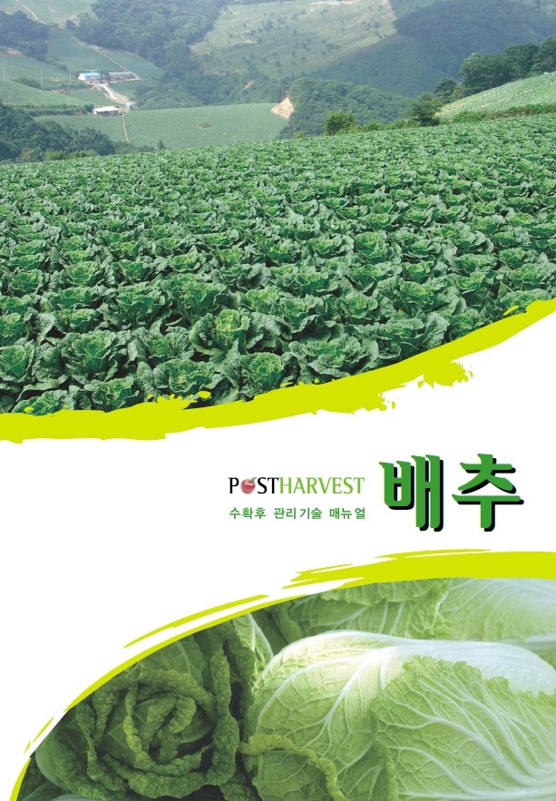 2007_배추