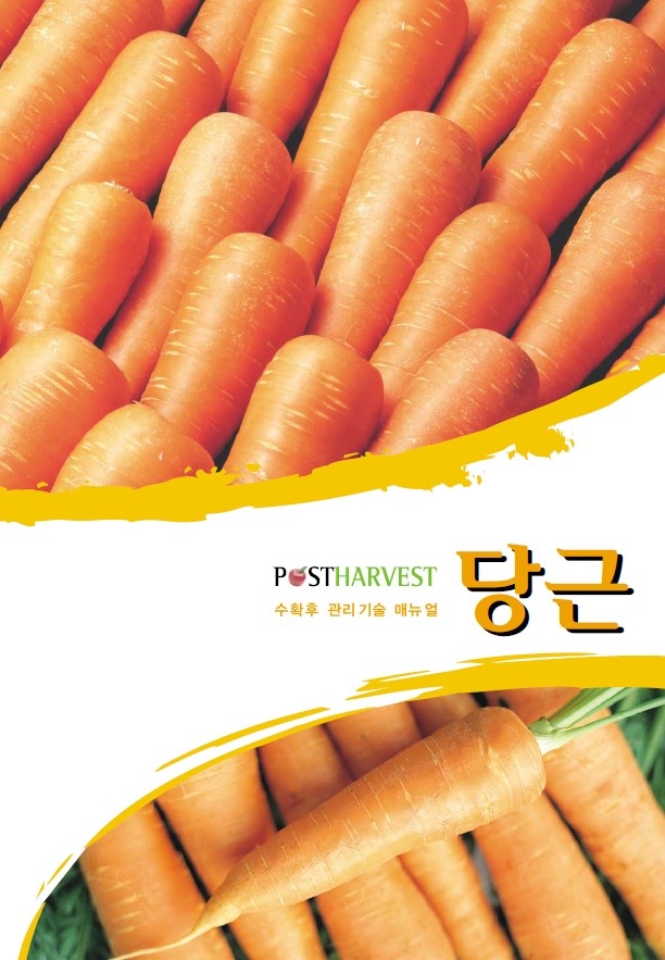 2007_당근