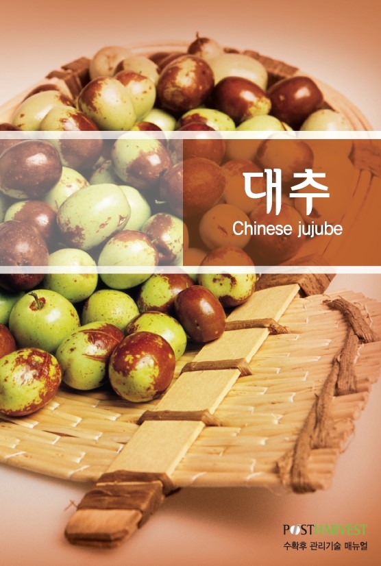 2011_대추