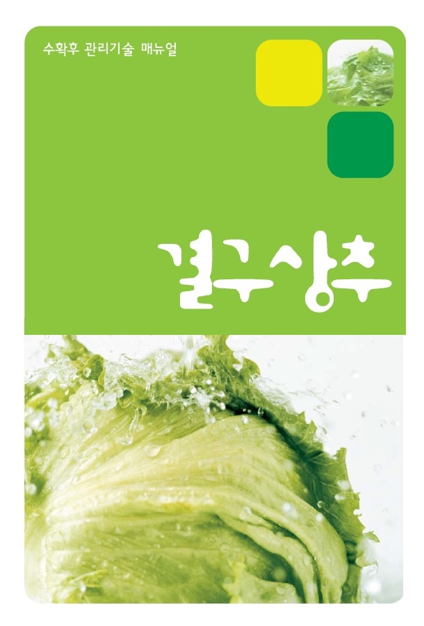 2004_결구상추