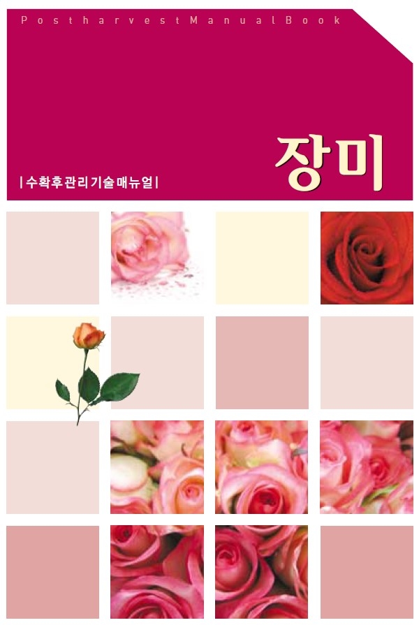 2006_장미