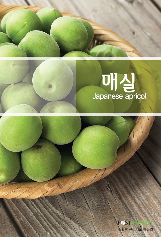2010_매실