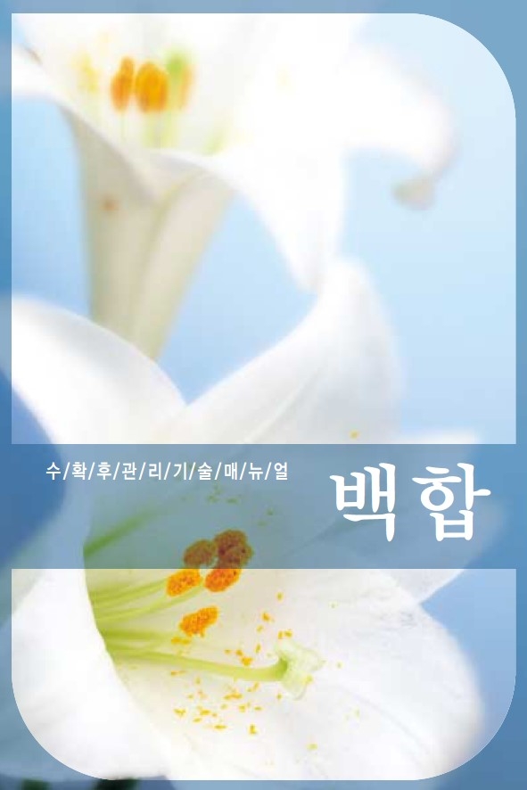 2005_백합