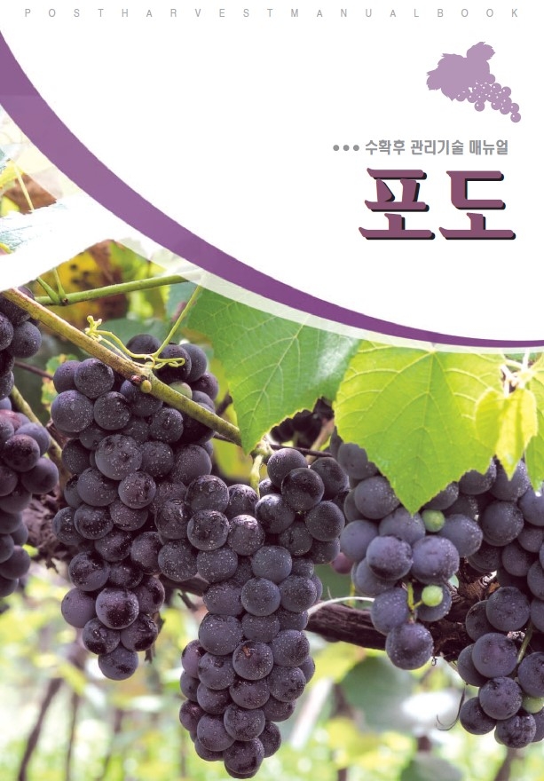 2007_포도