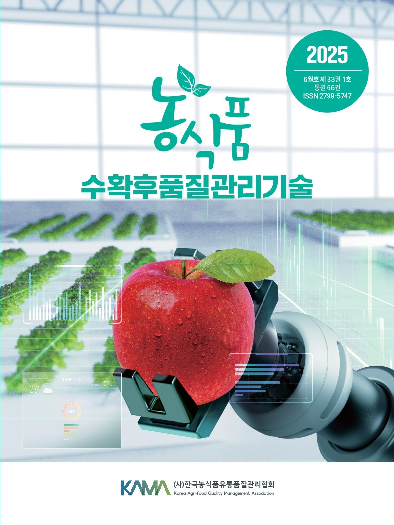 2025년 6월
