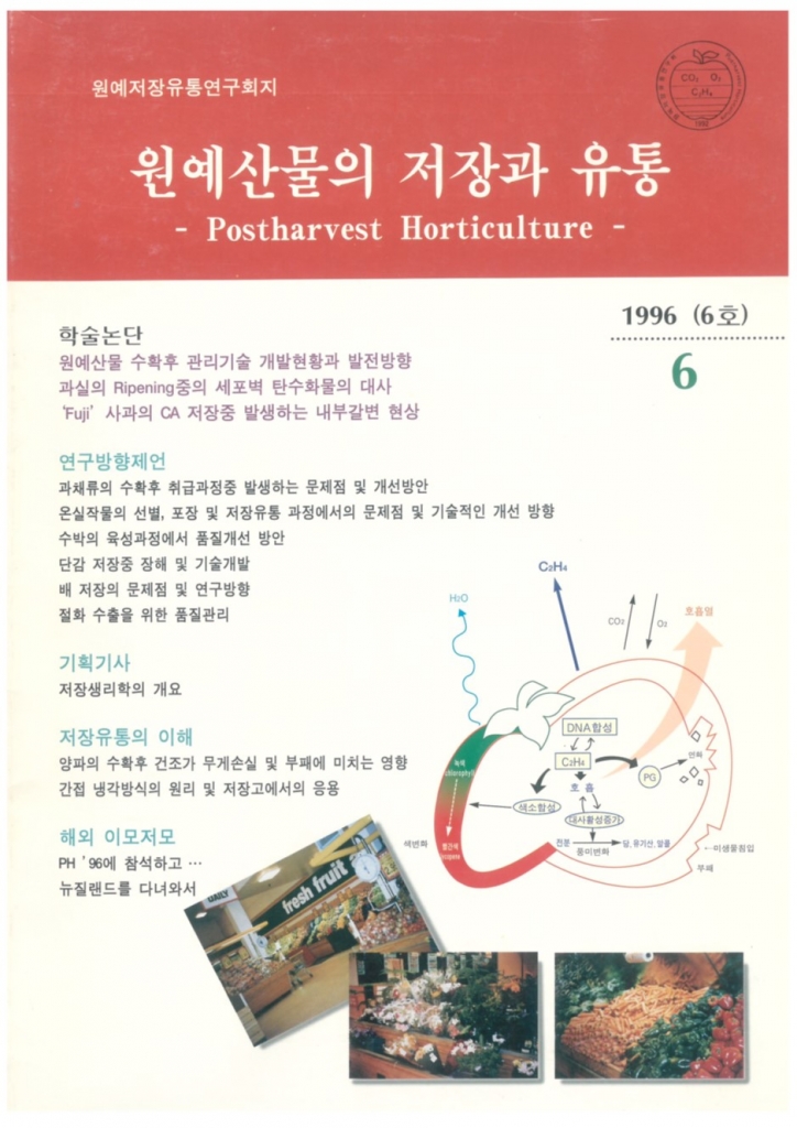 1996년 06월