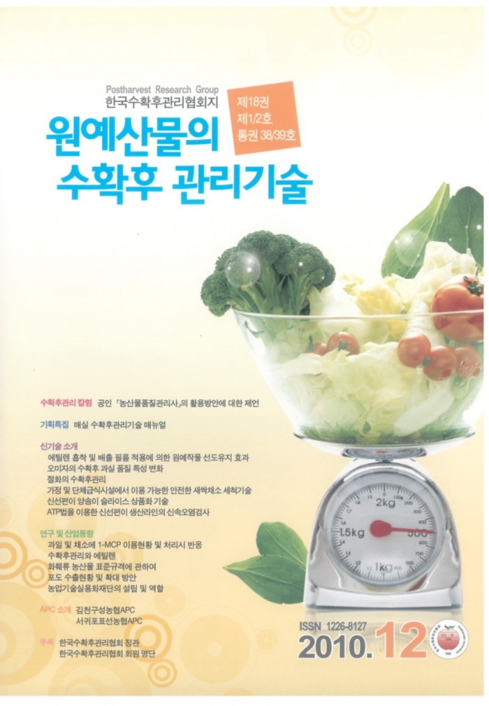2010년 12월
