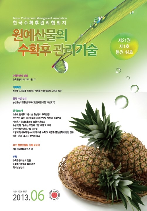 2013년 06월