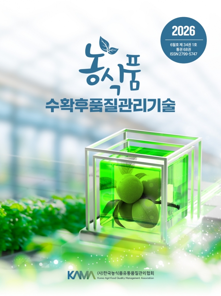 2026년 6월